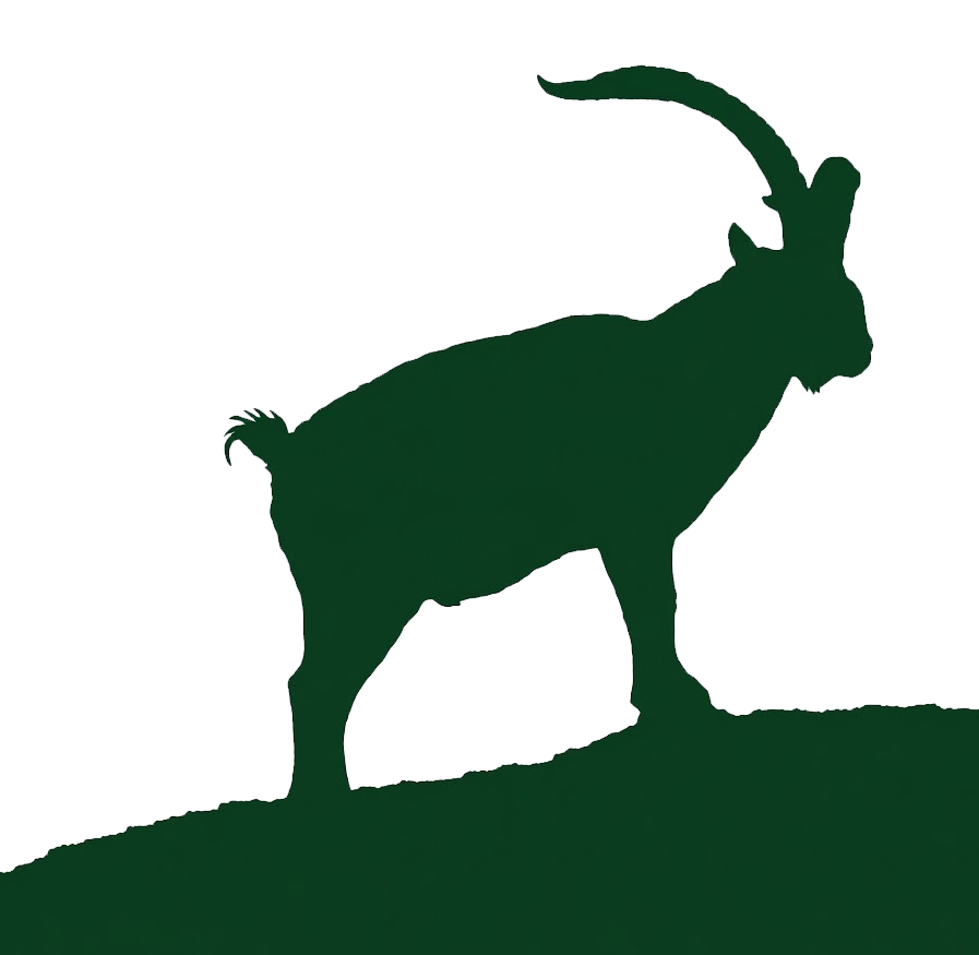 LogoHuntIberiaAlt