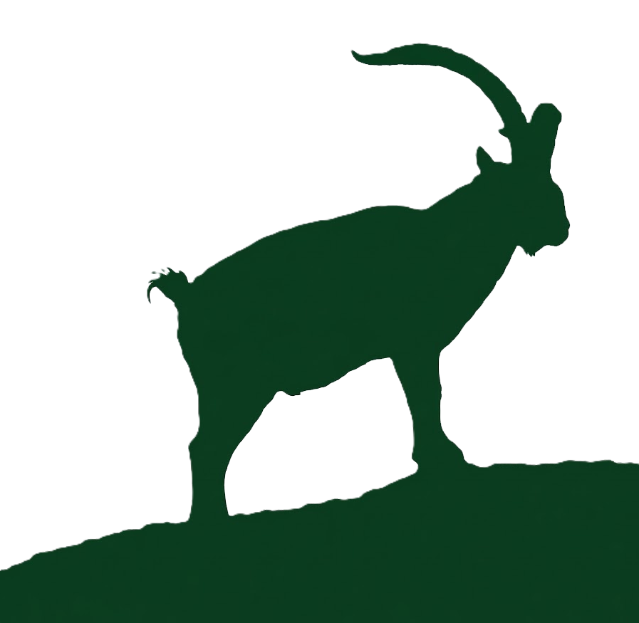 LogoHuntIberia